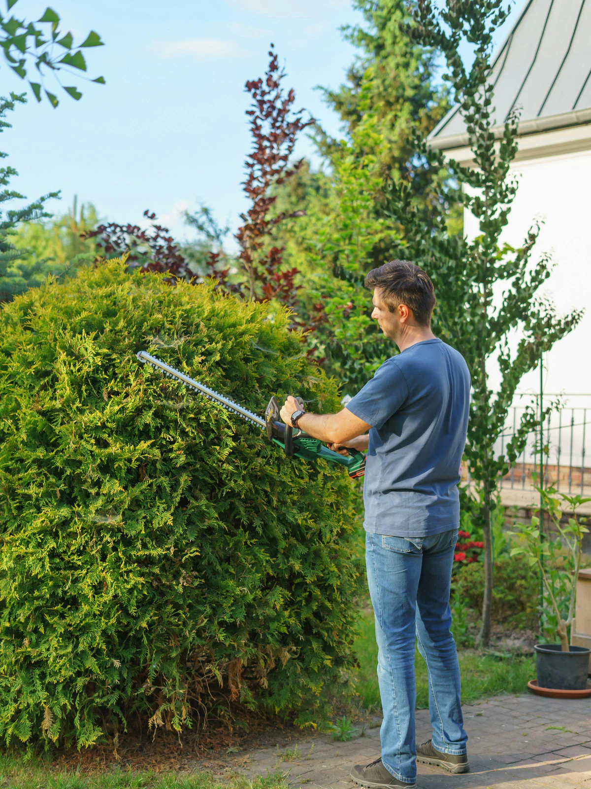 Profissional cuidando de jardim